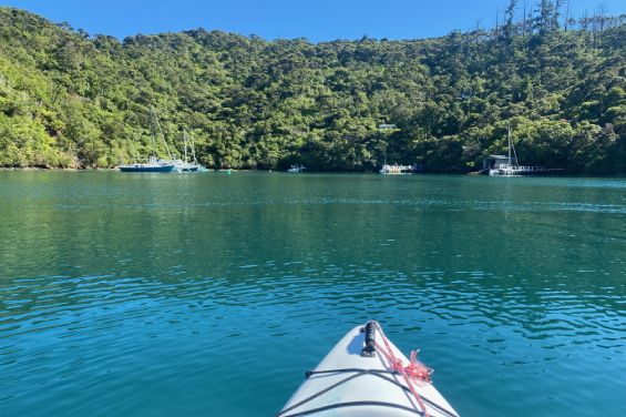 Tranquil waters ideal for kayaking